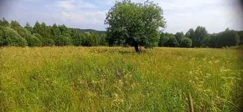 20 соток Дмитровский район, д. Новое сельцо