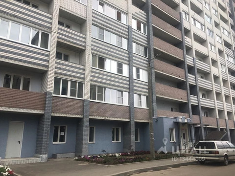 Полина Осипенко 21 Магазин