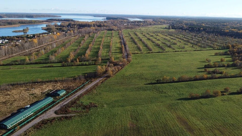 Продажа участка, Барышево, Выборгский район