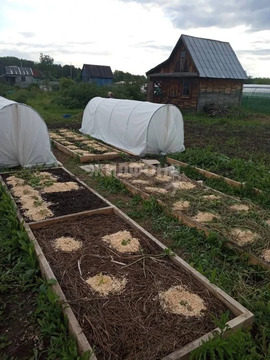 Продажа дома, Пашино, с/о Заря-2