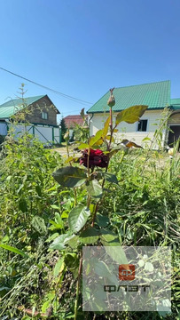 Продажа дома, Тетеево, Лаишевский район, тер. сдт Идель