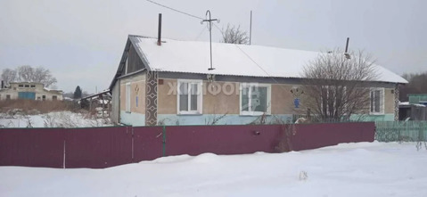 Продажа дома, Битки, Сузунский район, ул. Ленина