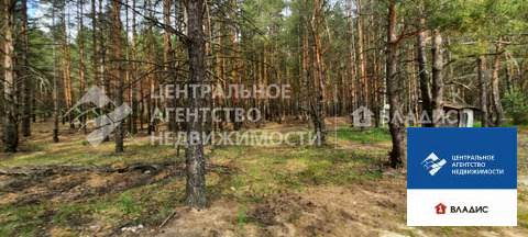 Продажа участка, Сумбулово, Спасский район, ул. Центральная