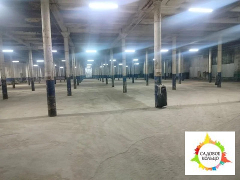 Владимирская, обл