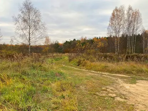 Участок в деревне Бармино