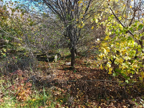 Продажа участка, Афипский, Северский район