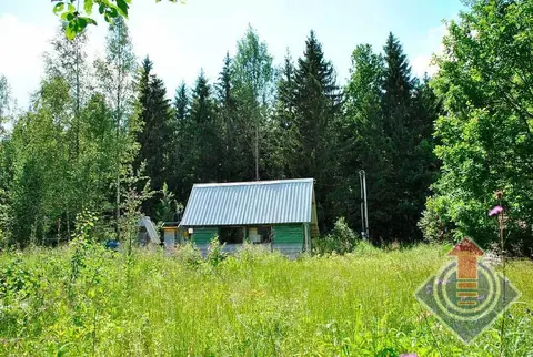 Лесная дача в СНТ Таманец у д. Шапкино, Наро-Фоминский район