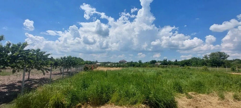 Продажа участка, Оазис, Северский район, ул. Центральная