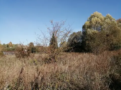 Участок 17 сот. (ИЖС)