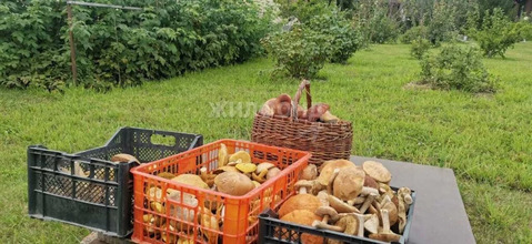 Продажа дома, Спирино, Ордынский район, ул. Ленина