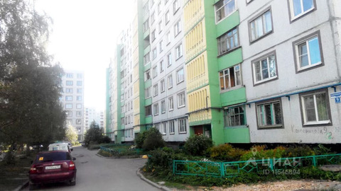 Купить 2 В Великом Новгороде