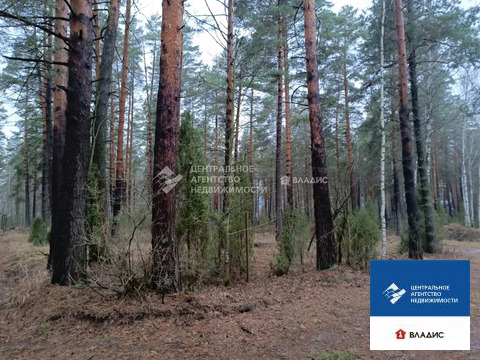 Продажа участка, Рязанский район, садоводческое товарищество Лесной