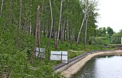 Лесной рельефный участок около речки