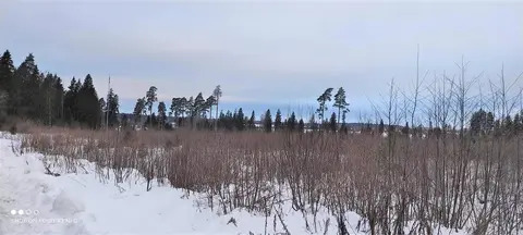 Участок в Звенигороде 25 га для девелопера