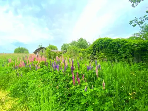 Участок в деревне Якушевичи