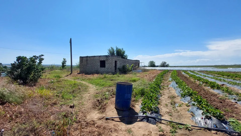 Продажа участка, Голубицкая, Темрюкский район, ул. Жеребцовой