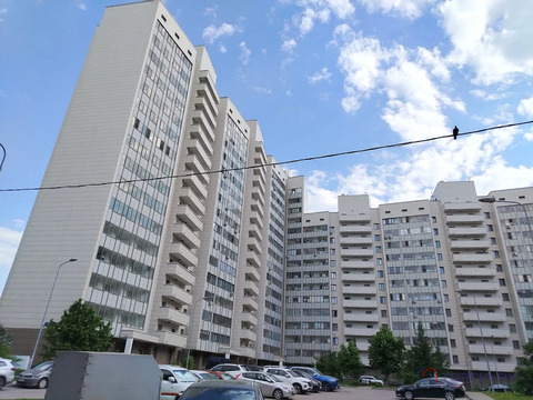 Продажа квартиры, 11-я Парковая улица