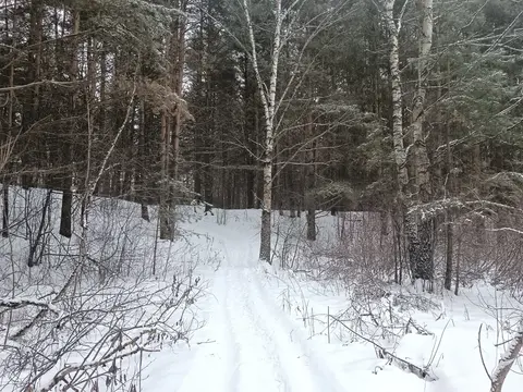 Продам земельный участок 19 соток в д.Чиверево, г.о. Мытищи