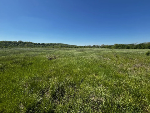 Продажа участка, Смоленская, Северский район, ул. Лесная