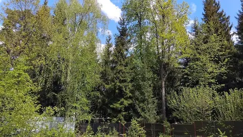 Продажа участка в элитном посёлке на Рублевке, Лесной простор, 20км.