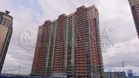 Купить студию, 22.1 м² по адресу Санкт-Петербург, Парголово, Толубеевский проезд
