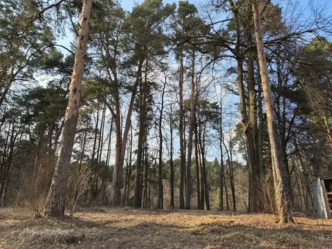 Сосновый участок в Подушкино с панорамными видами на Рублевке