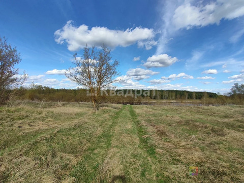 Горячее предложение!