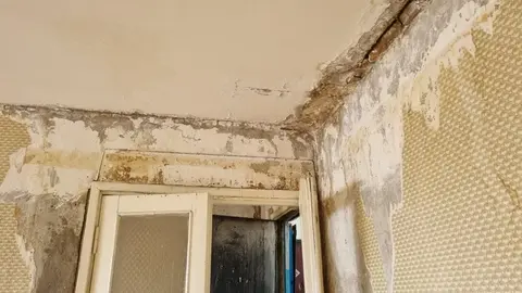 1-ка, Талдомский р-н, д. Кошелево, д.18