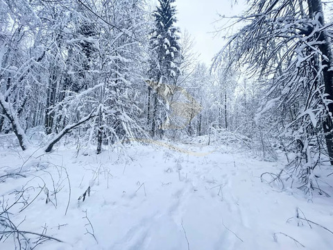 Продажа участка, Сокольники, Дмитровский район
