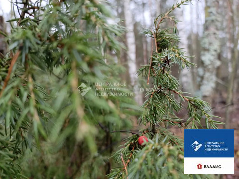 Продажа участка, Алеканово, Рязанский район