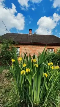 Два дома на одном участке ищут своего хозяина!