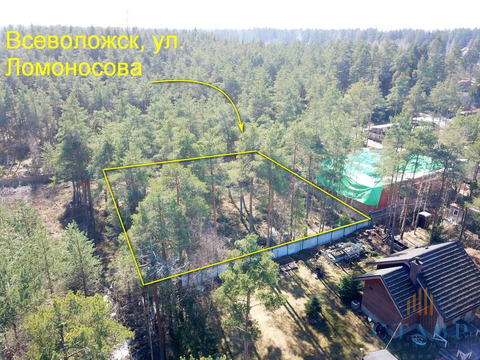Продажа участка, Всеволожск, Всеволожский район, ул. Ломоносова