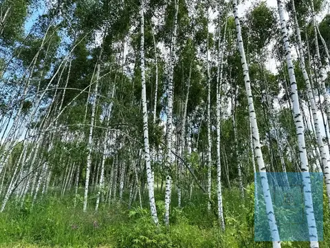 6, 4 сотки под дачное строительство в д. Ростовцево,