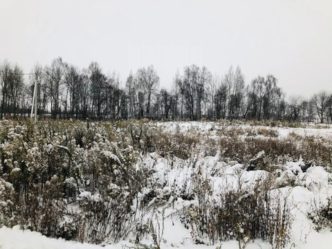 Купить Участок В Зверково Дмитровского