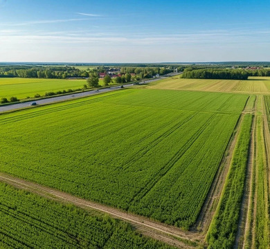 Продажа земельного участка 50 соток в Индустриальном парке "Чехов"