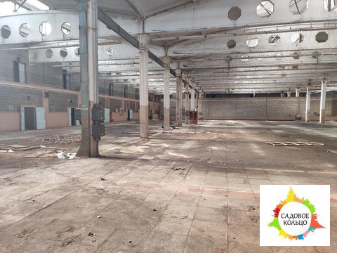 Предлагается в аренду холодное производственное помещение