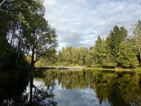 Участок с соснами в элитном поселке со свим озером на Рублевке