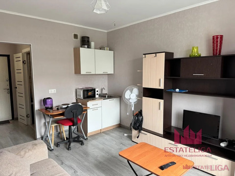 1-комнатная квартира, 20 кв.м., в ЖК "Государев дом"