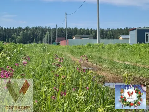 Участок с красивыми соснами 12 соток д.Илькино