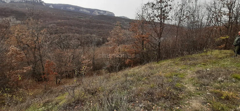 Продажа участка, Соколиное, Бахчисарайский район, ул. Ялтинская