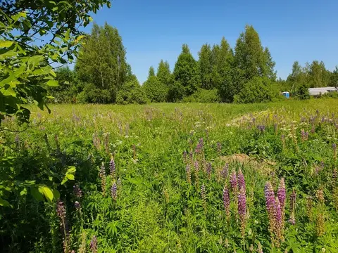 Продаётся земельный участок 10 соток в д.Гальчино