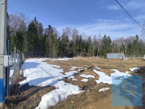 12 соток в Шапкино, СНТ Звездочка