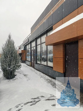 Аренда ПСН, Ленинский район, 185