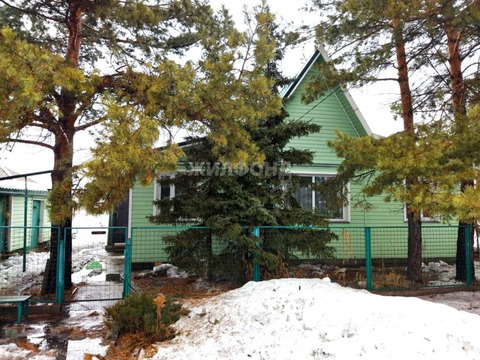 Продажа дома, Береговое, Новосибирский район, ул. Мира