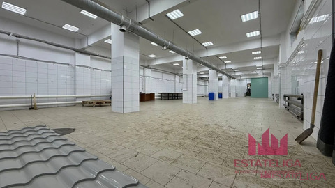 Аренда ПСН, Быково, Раменский район, ул. Праволинейная