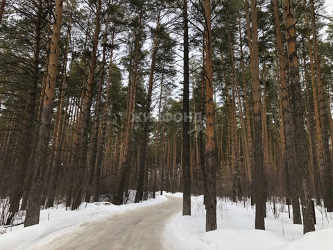 Продажа дома, Новосибирск, ул. Сосновая