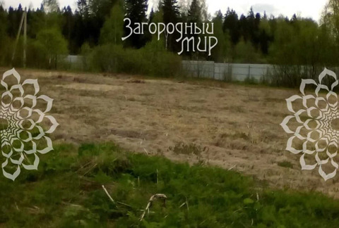 Продам участок, Новорижское шоссе, 80 км от МКАД