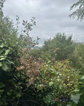 Продажа участка, Сочи, ул. Санаторная