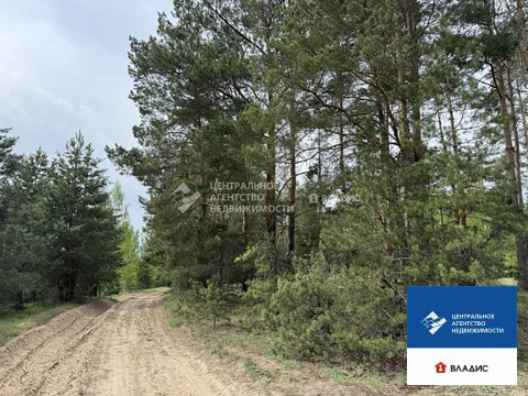 Продажа участка, Рязанский район, садоводческое товарищество ...