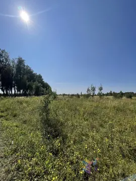 Продам участок 180000 кв.м, Тульская область, Ясногорский район.